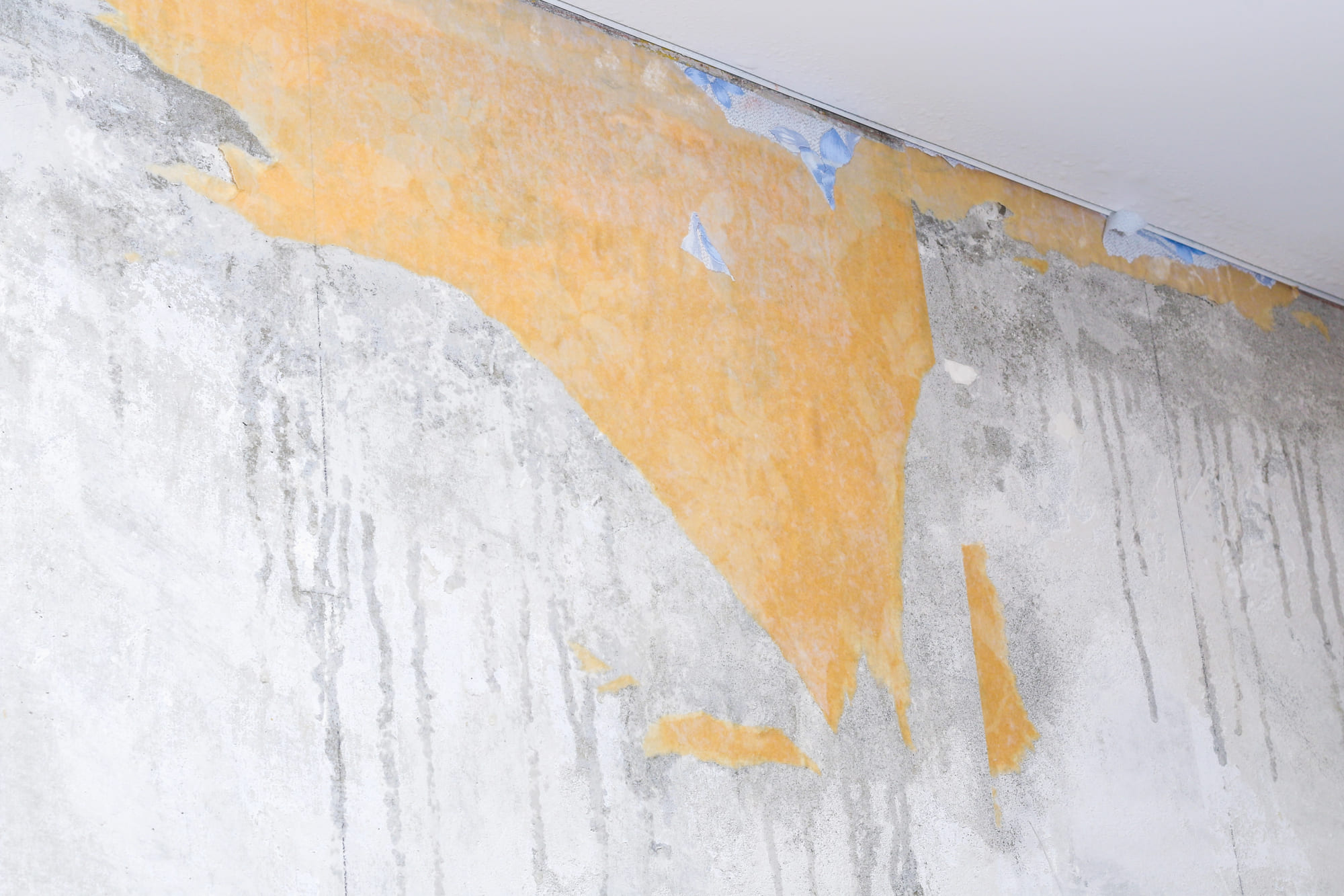 Expert Wallpaper Removal in York, Mechanicsburg, Lancaster